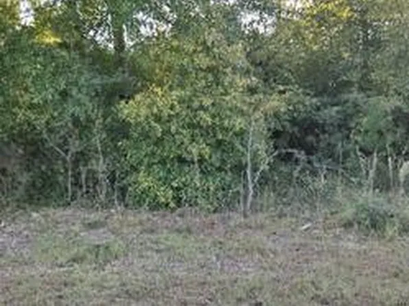 LOT 6 SHAD Road, Williston, SC 29853