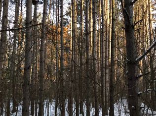 770 22nd St, Chetek, WI 54728