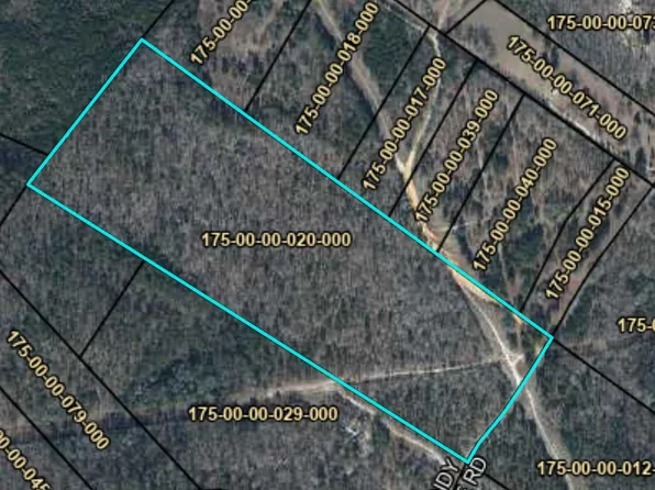 TBD WINDY RIDGE Road, Trenton, SC 29847