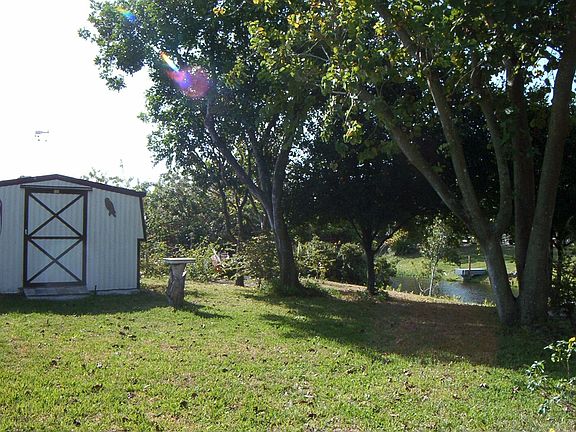 Shed with electric