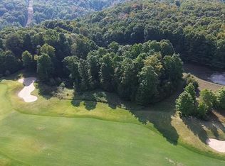 205 Raptor Run, Bellaire, MI 49615
