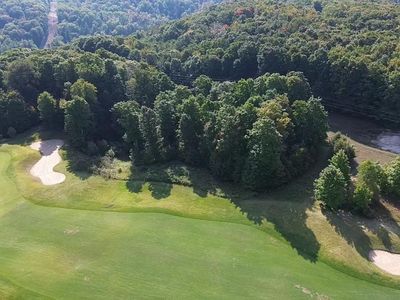 205 Raptor Run, Bellaire, MI, 49615