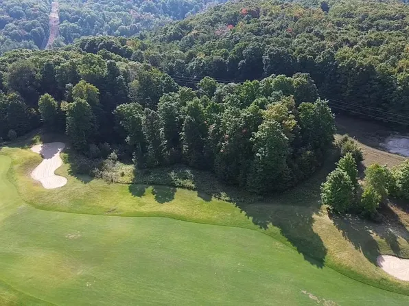 205 Raptor Run, Bellaire, MI 49615