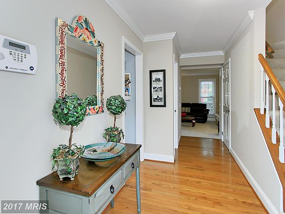 4th image of 10119 Sassafras Woods Ct