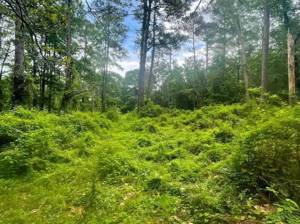 2 Magnolia Progress Rd, Magnolia, MS 39652