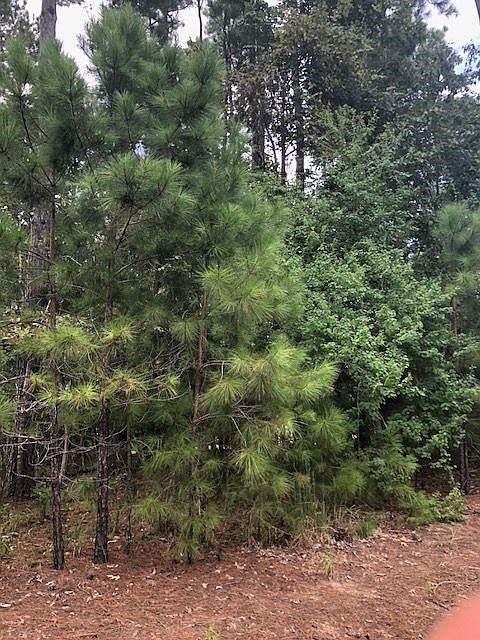 West Canning lot 2