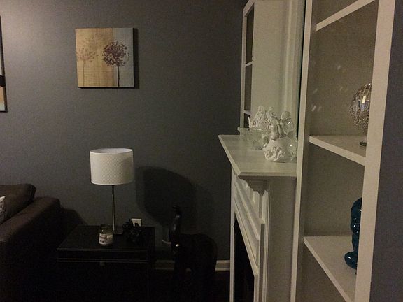 5th image of 3001 Hamilton Church Rd Unit 347