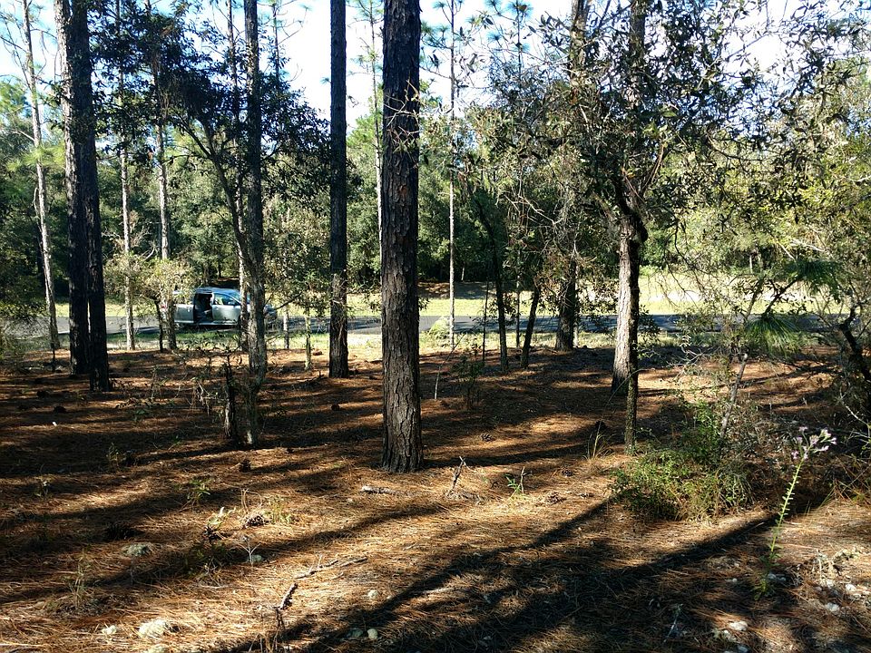 2nd image of 11278 N Adler Dr