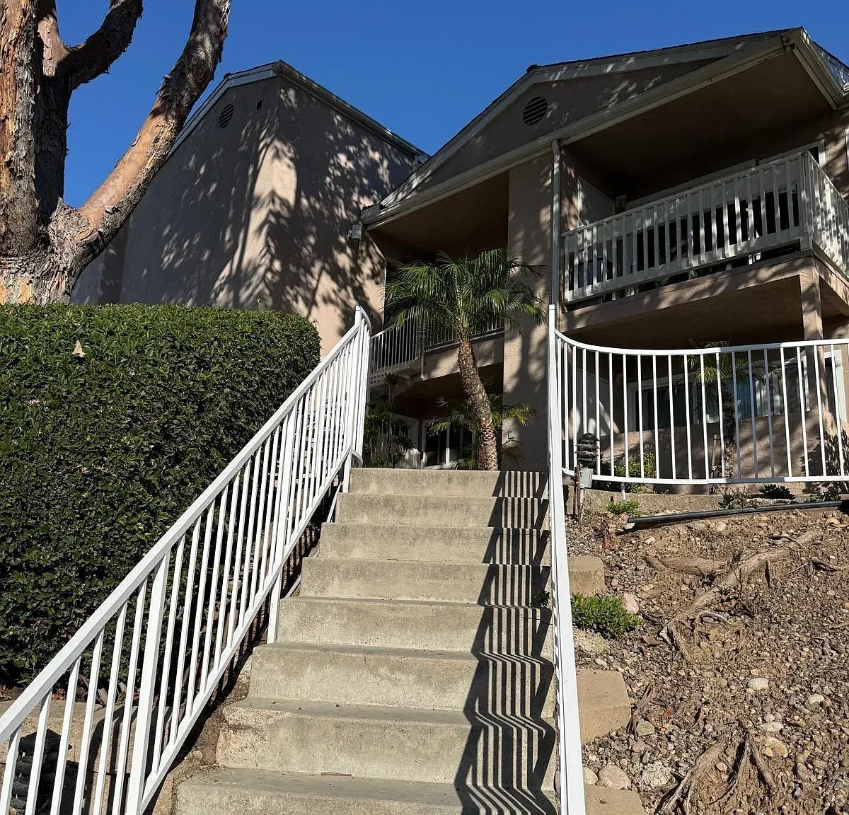 1 bed, 1.0 bath, 956 sqft, $1,500 — Photo 3