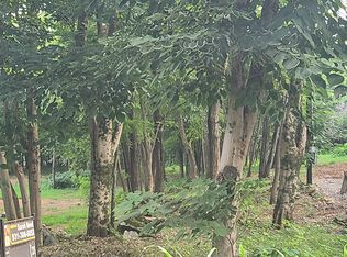 532 Spur Rd LOT 1, Decherd, TN 37324