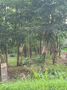 532 Spur Rd LOT 1, Decherd, TN, 37324