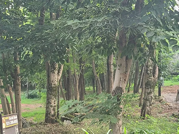 532 Spur Rd Lot 1, Decherd, TN 37324