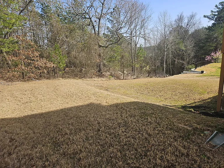 backyard from one side of the house