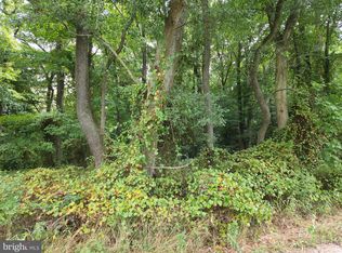 36931 Black Dog Aly, Millsboro, DE 19966