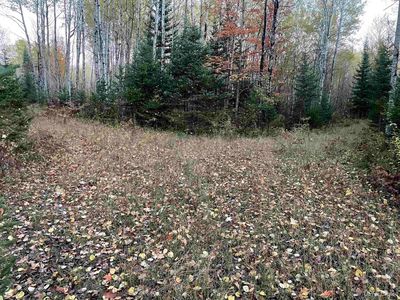 Ross Grade Rd, Arnold, MI, 49819