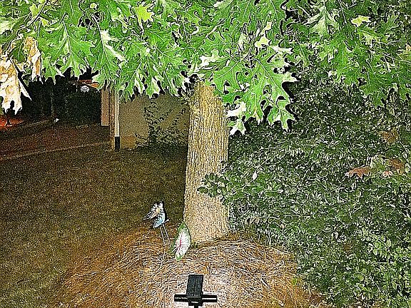 3rd image of 2348 Pettit Dr