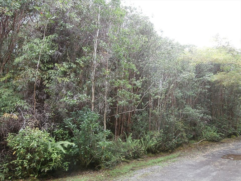 1st image of Road 7 Opeapea Lot 4593