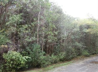 Road 7 Opeapea LOT 4593, Mountain View, HI 96771