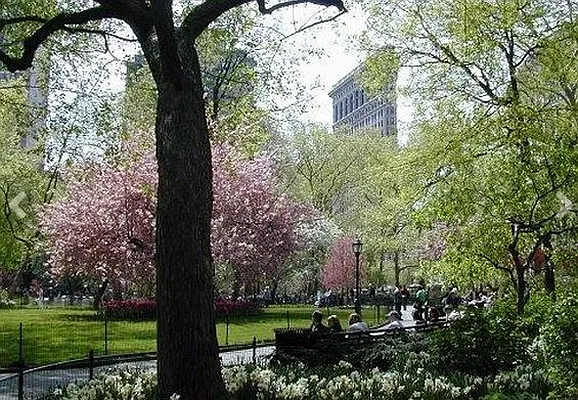 Rented by Town Residential | media 47