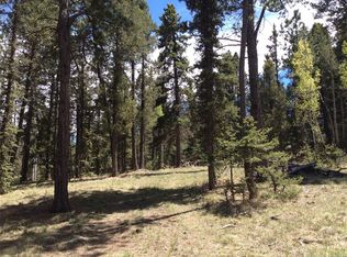 972 N Mountain Estates Rd, Florissant, CO 80816