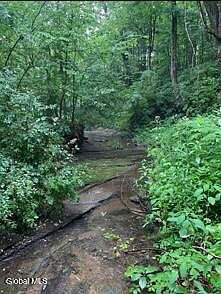 2nd image of L48 Steadwell Rd