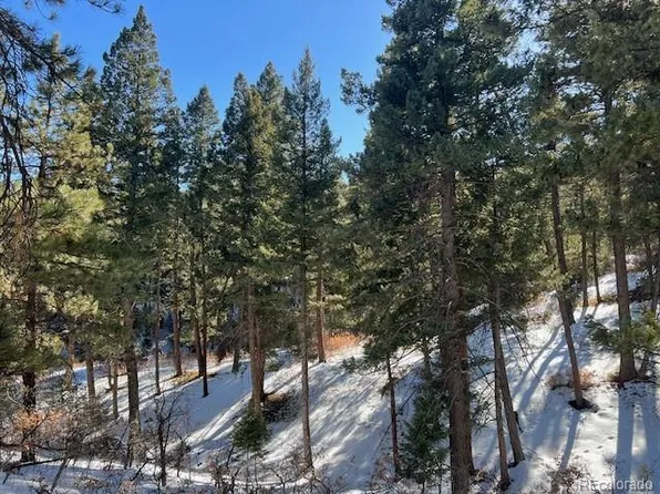 000 Madge Gulch Road LOT 2503-071-00-008, Sedalia, CO 80135