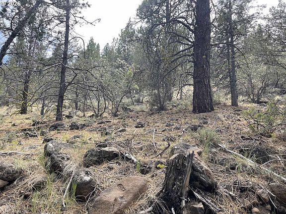 3rd image of Lakeview Hwy #140-1200