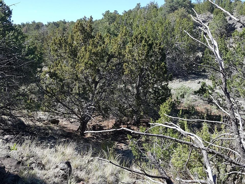 1st image of 172 E Hualpai Trl