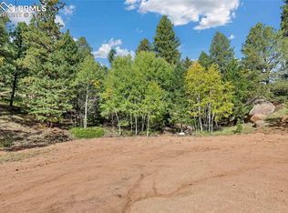 926 Pinon Ln, Florissant, CO 80816