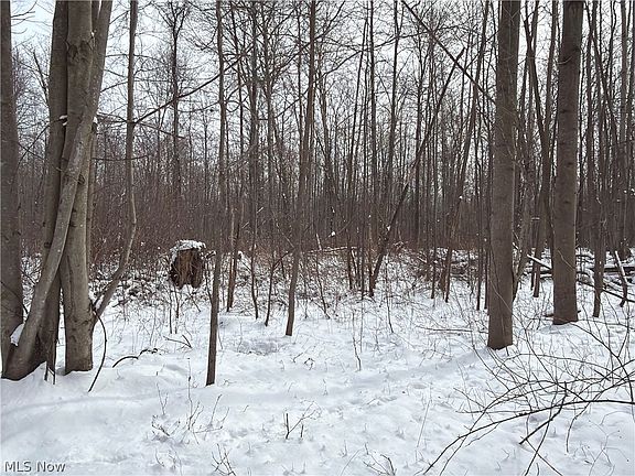 3rd image of Munson Hill Rd