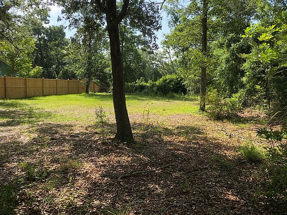 5th image of 0 Palmetto Ave