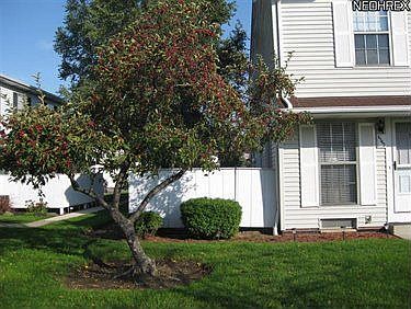 2nd image of 6543 Liberty Bell Dr