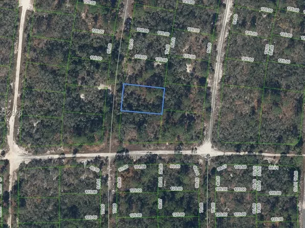 305 Blue Heaven Dr, Lake Placid, FL 33852