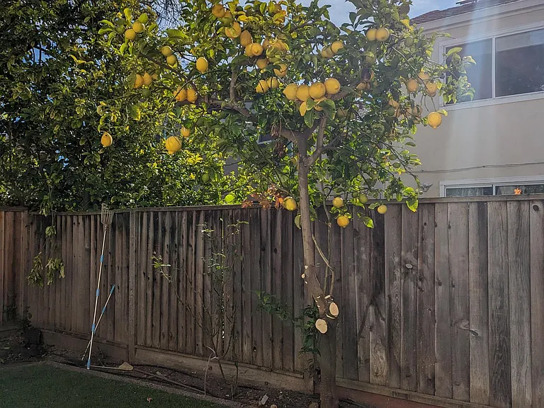 34300 Eucalyptus Ter — Photo 22