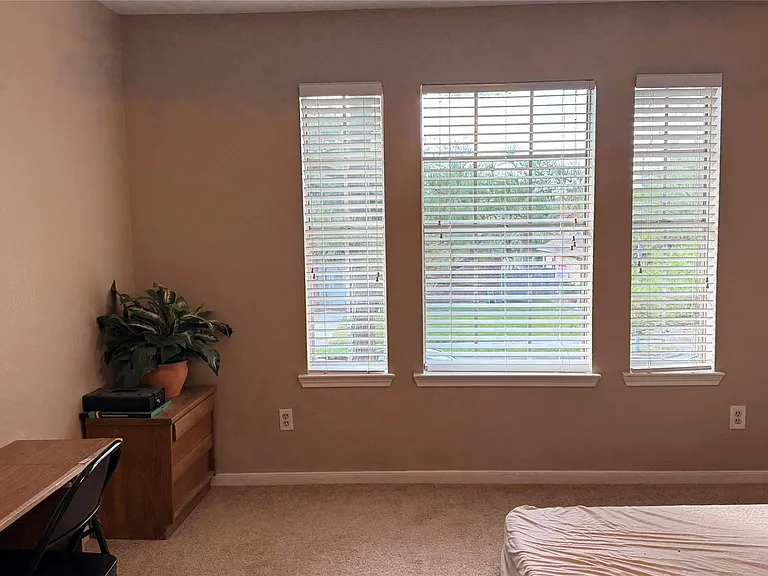 10310 Hedge Way Dr — Photo 16