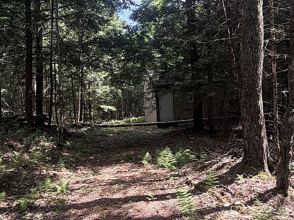 3rd image of 48 Whitcher Road #26