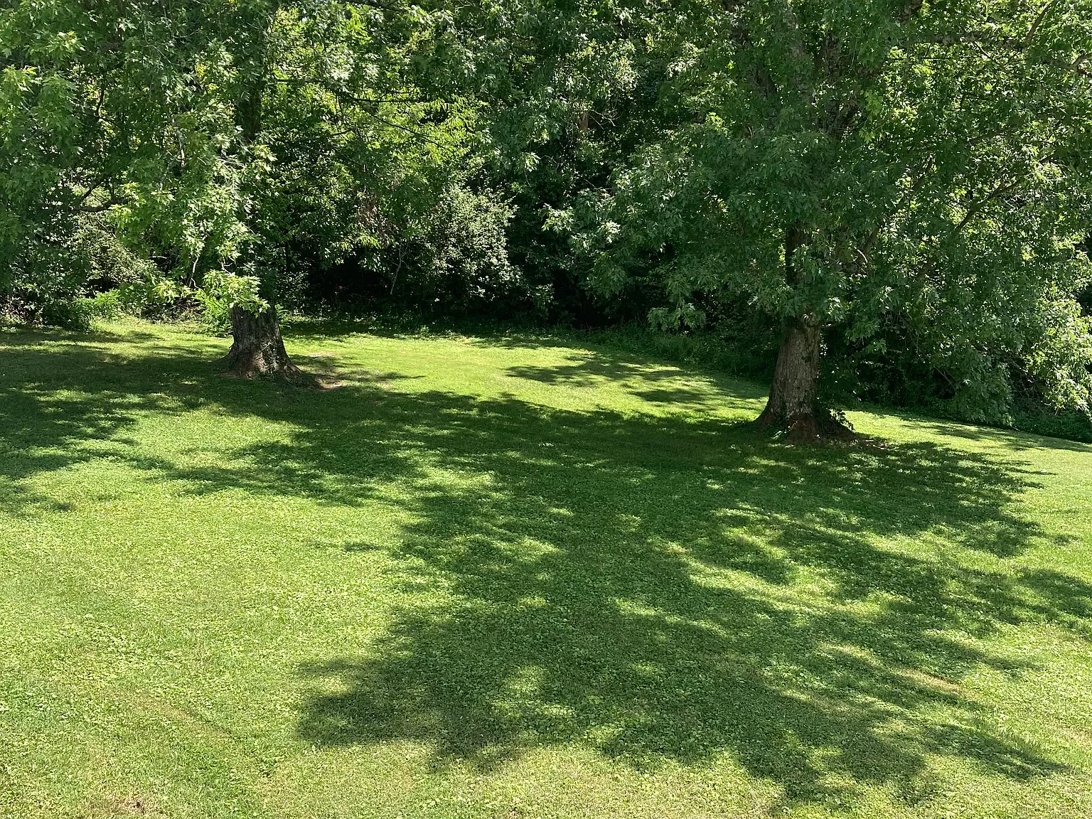 2 bed, $925 — Photo 2
