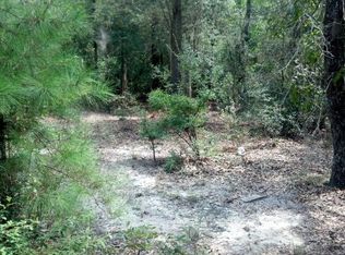 605 Indian Trl, Blackshear, GA 31516