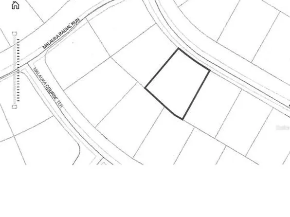 Malauka Radl Lot 16, Ocklawaha, FL 32179