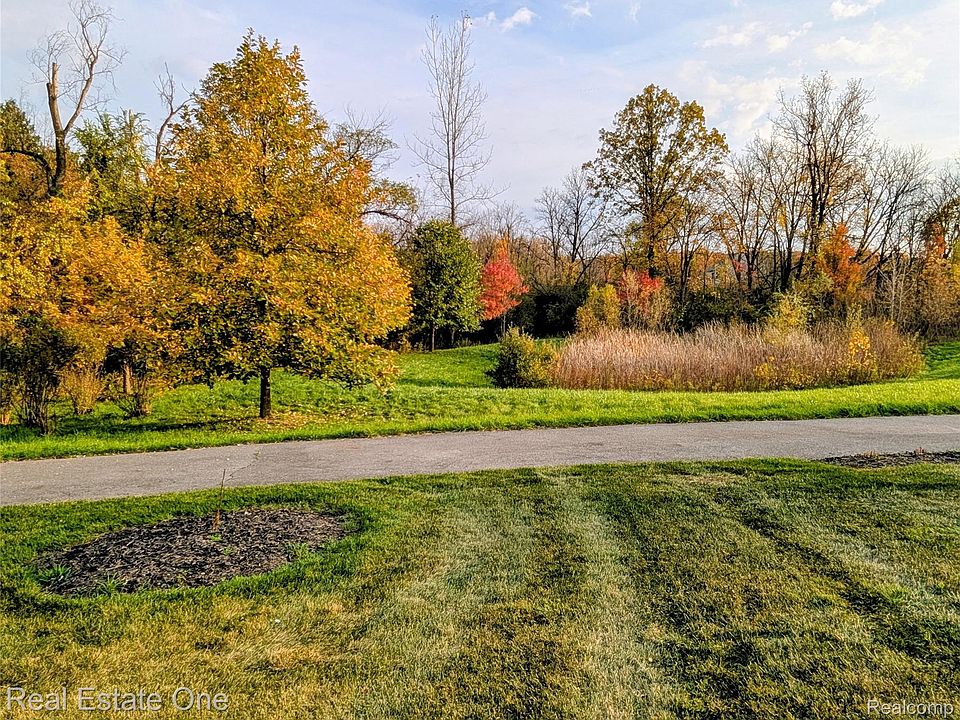16988 Forest Edge, photo 19