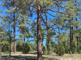 2004 Sugar Pine Dr #206, Happy Jack, AZ 86024