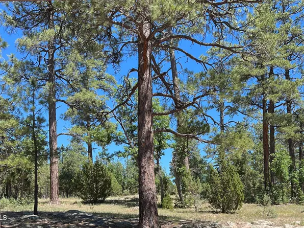 2004 SUGAR PINE Drive #206, Happy Jack, AZ 86024