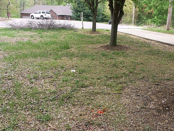 4th image of Elm Ln