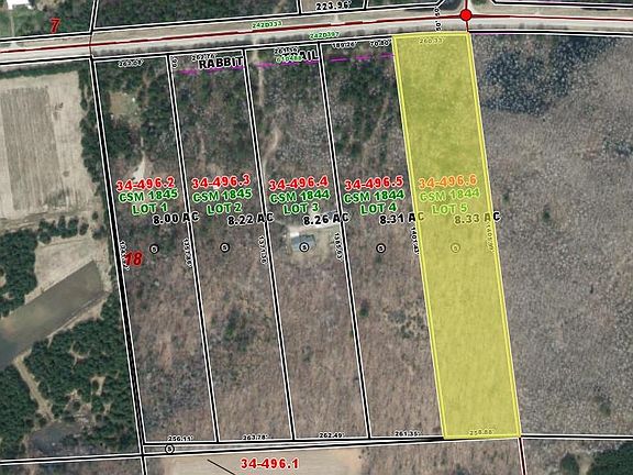 2nd image of Rabbit Trl #5