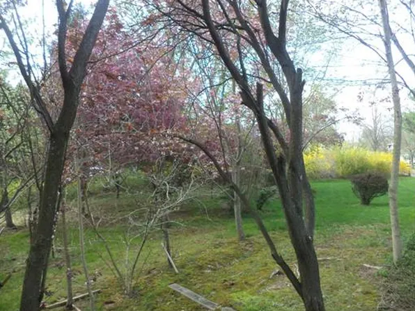 14 Dorothy Ln, Milltown, NJ 08850