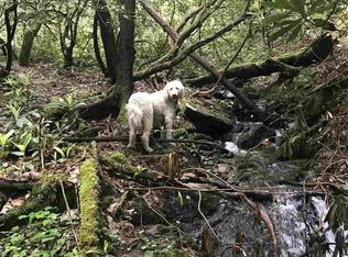 Ball Hollow Rd, Cosby, TN 37722