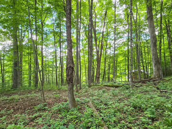 13 Lower Cherry Grove Rd, Slatyfork, WV 26291