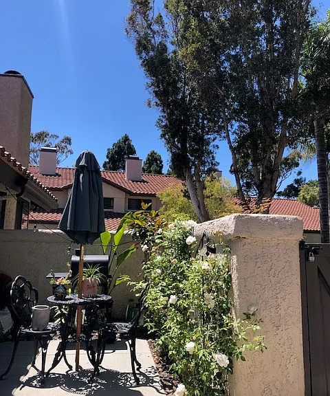 Las Palomas Dr — Photo 5