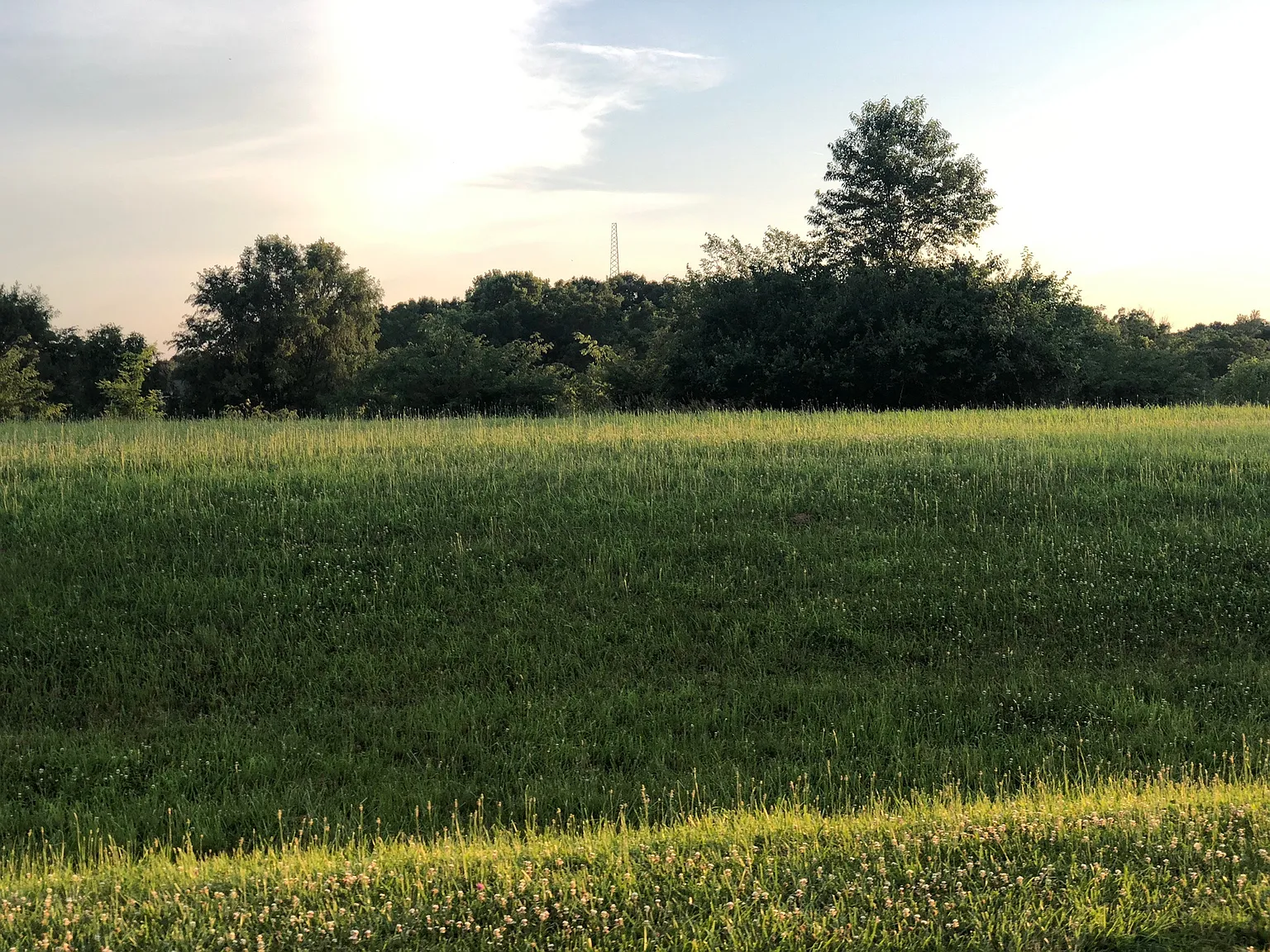 15 Winged Foot Dr photo 1
