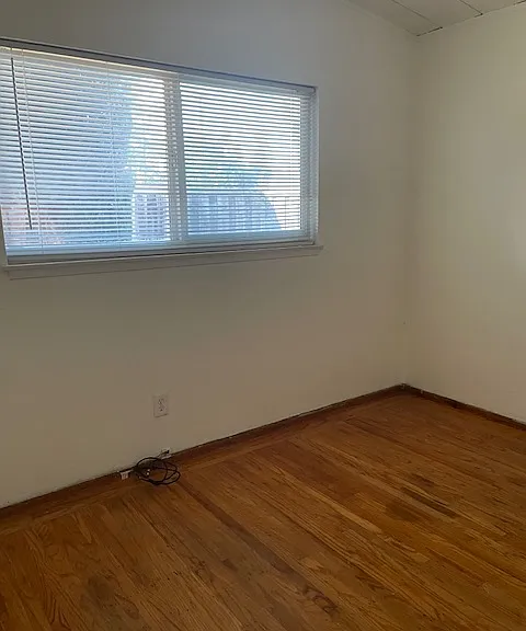 3121 Alma St — Photo 25